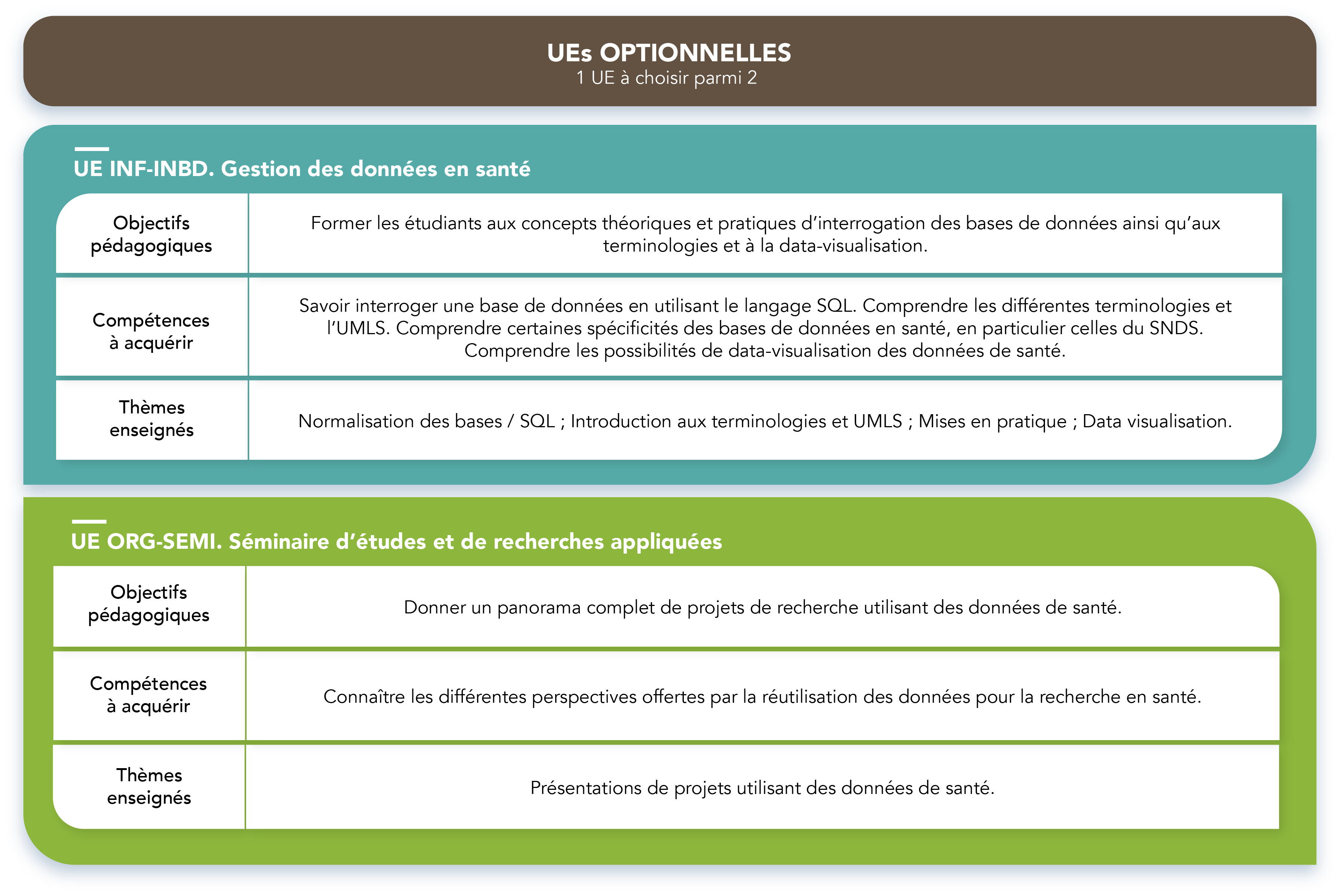 DIU REDS - UE optionnelles